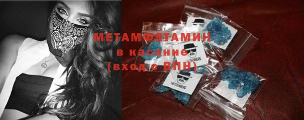сатива Беломорск