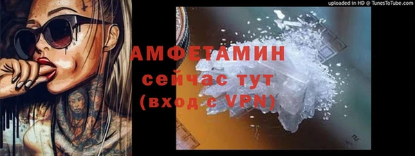 сатива Беломорск