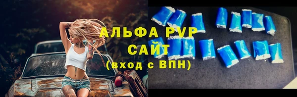 сатива Беломорск