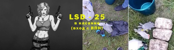 сатива Беломорск