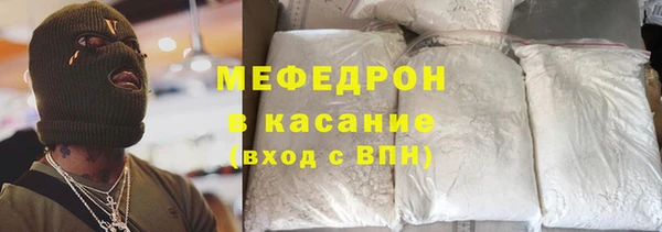 сатива Беломорск