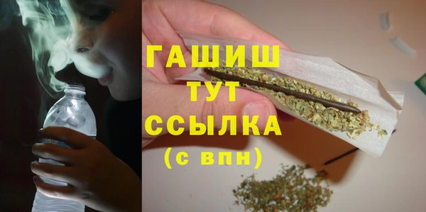 сатива Беломорск