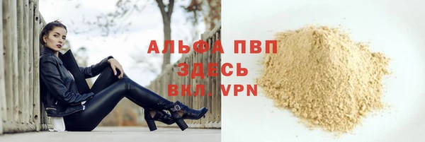 сатива Беломорск