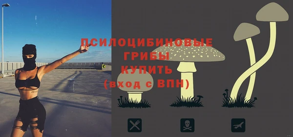 мяу мяу мука Строитель