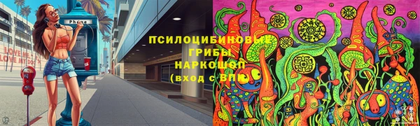 гашик Белокуриха