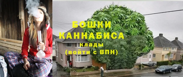 гашик Белокуриха