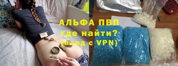 гашик Белокуриха