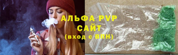 сатива Беломорск